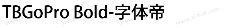 TBGoPro Bold字体转换